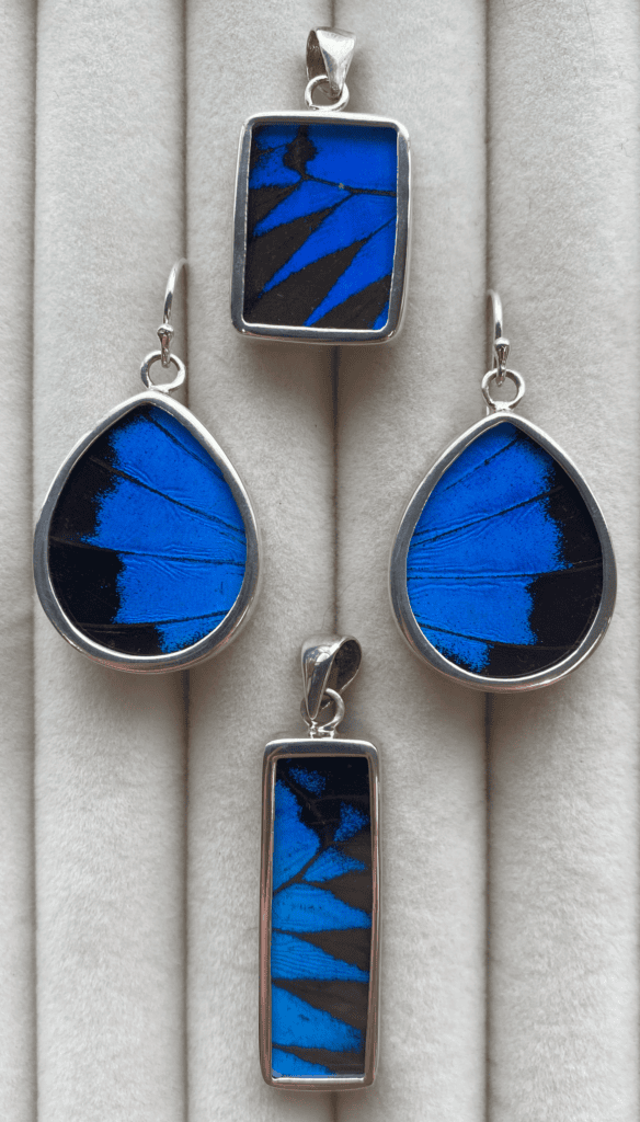 Earrings made from blue and black butterfly wings encased in glass and sterling silver.