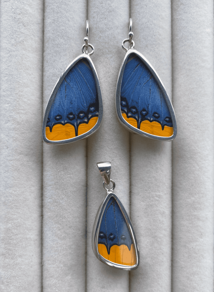 Earrings made from butterfly wings encased in glass and sterling silver.