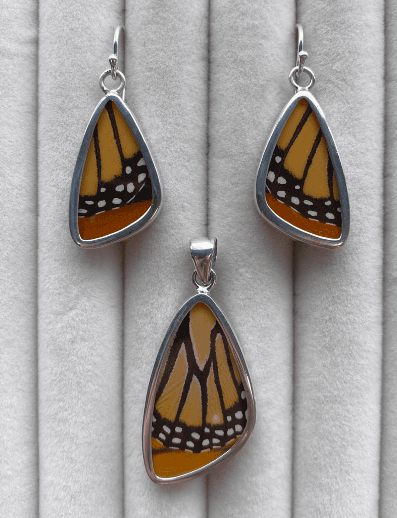 Earrings made from monarch butterfly wings encased in glass and sterling silver.