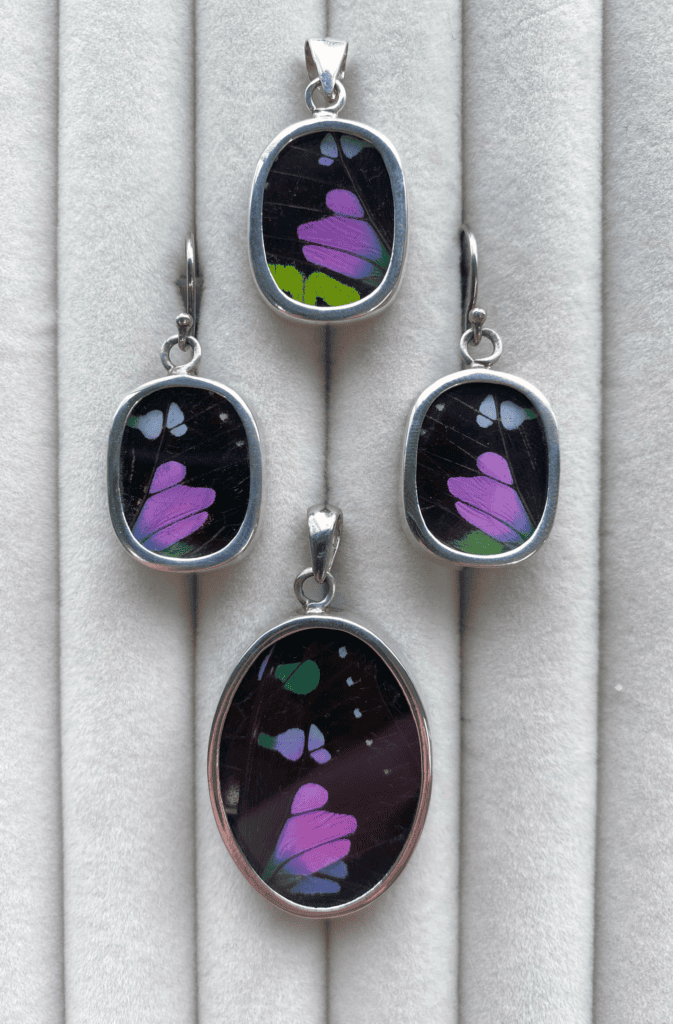Earrings made from black purple and green butterfly wings encased in glass and sterling silver.