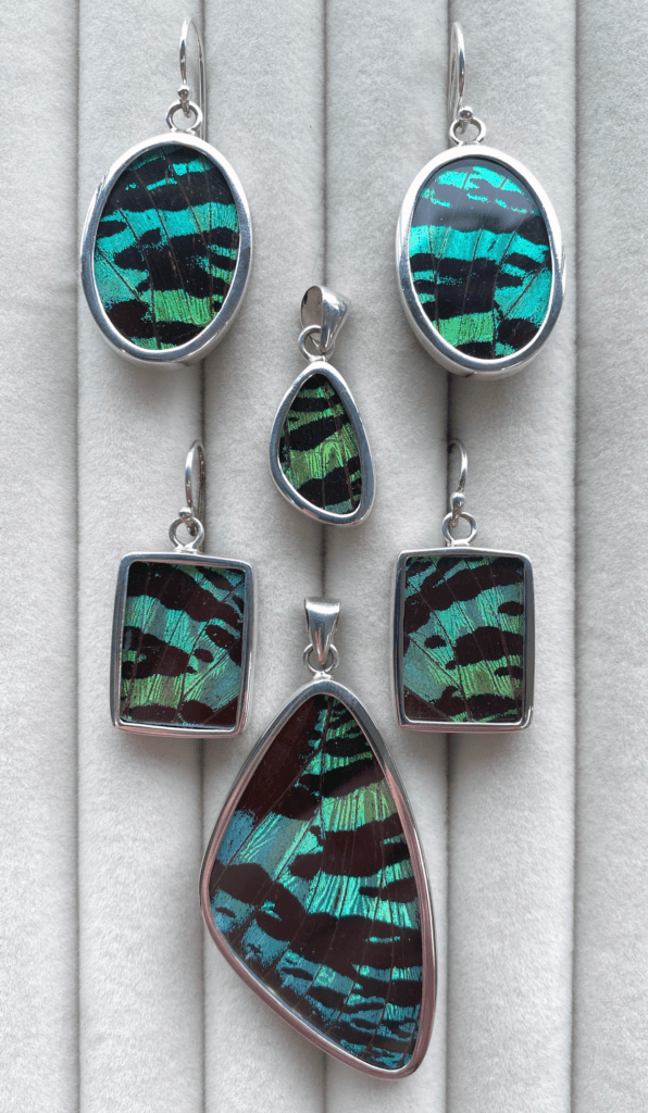 Earrings made from a sunset moth's wings encased in glass and sterling silver.