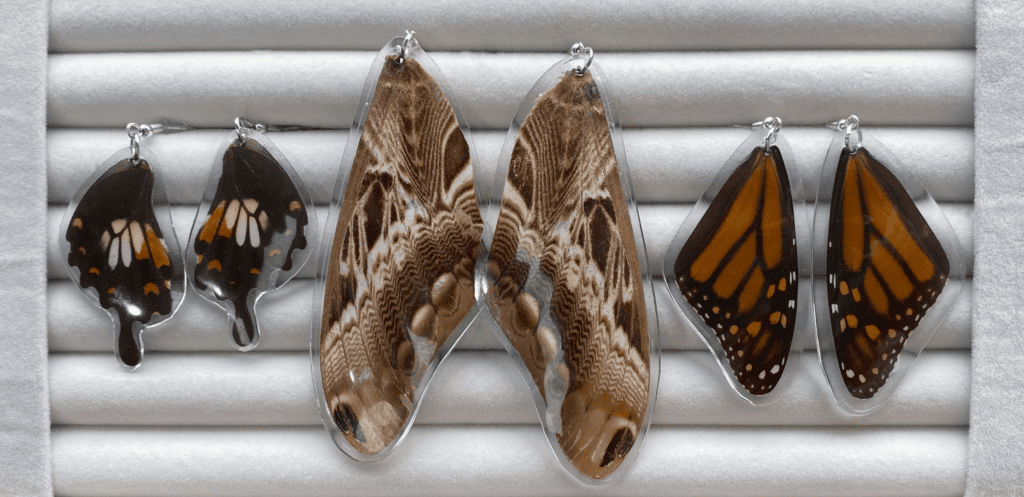 Earrings made from butterfly wings encased in resin